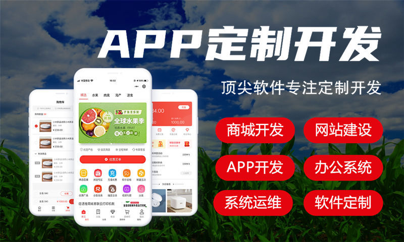 济南三三复购见单商城系统搭建开发:助力企业高效运营的数字化转型利器