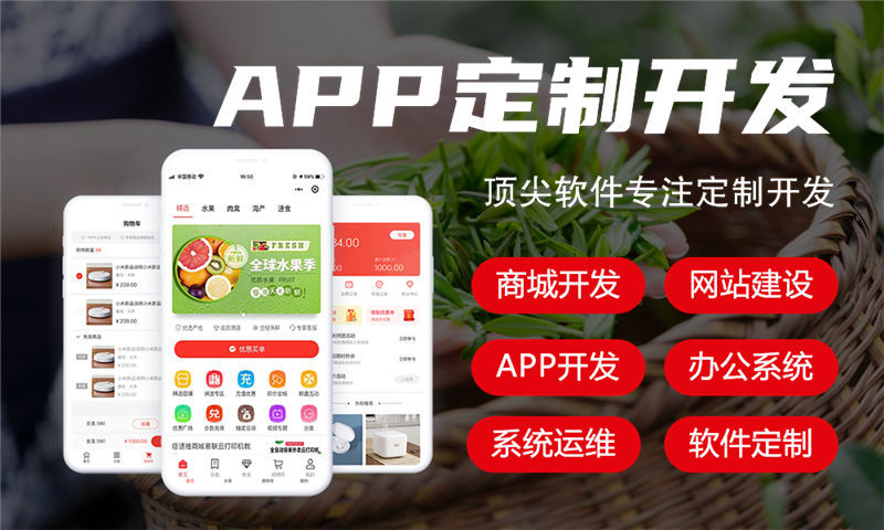 南通久鼎私域系统小程序开发与搭建解决方案助力企业数字化转型
